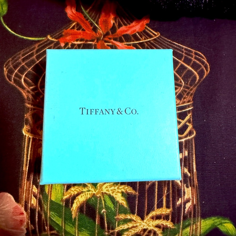 Tiffany & Co. Signature Blue Gift Box
